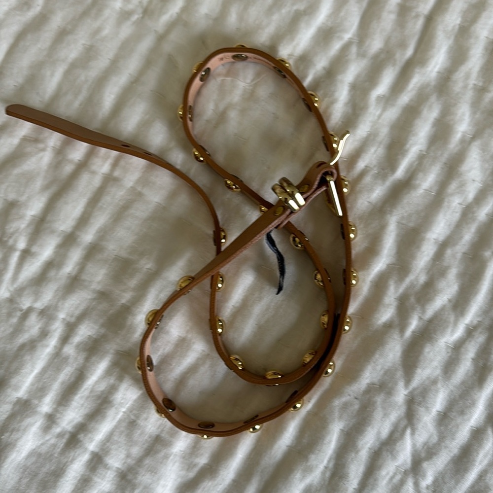 Brave Leather Studded Belt